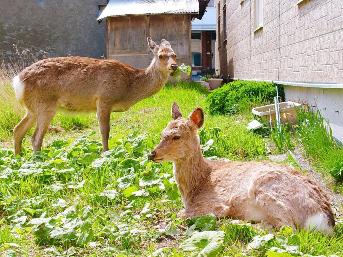 Lulu Stay 稚内市 エクステリア 写真